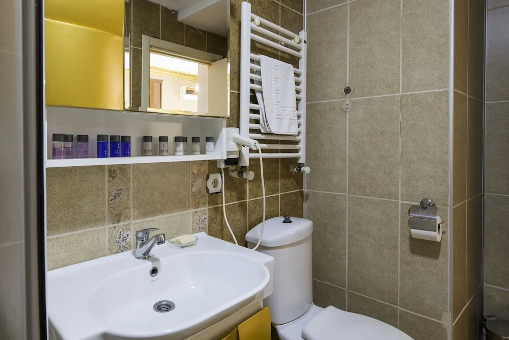 Deluxe Tek Büyük veya İki Ayrı Yataklı Oda