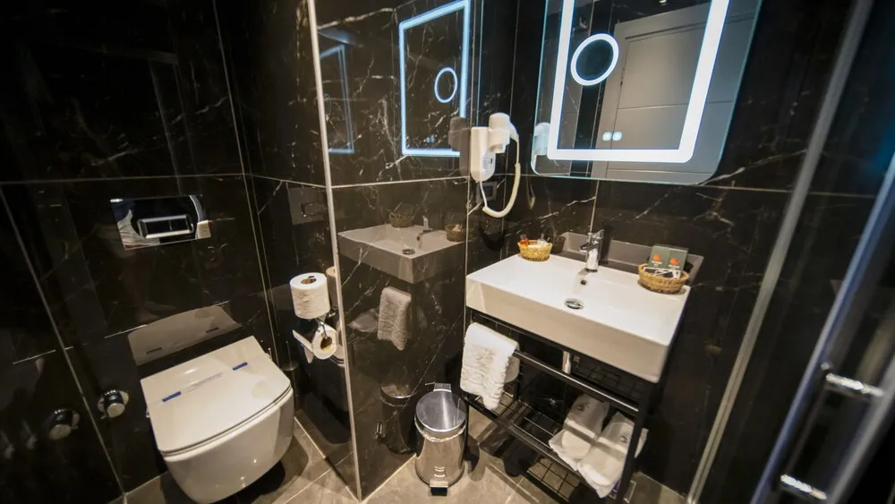 Deluxe Oda, 1 Yatak Odası, Şehir Manzaralı