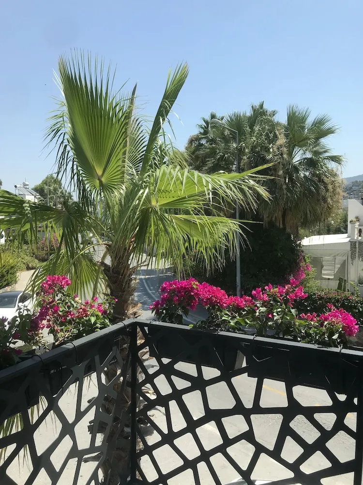 Deluxe Oda, 1 Yatak Odası, Şehir Manzaralı