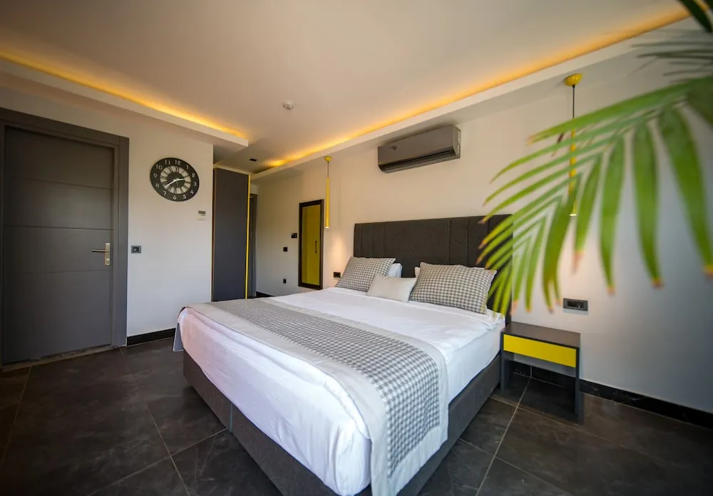 Deluxe Oda, 1 Yatak Odası, Şehir Manzaralı