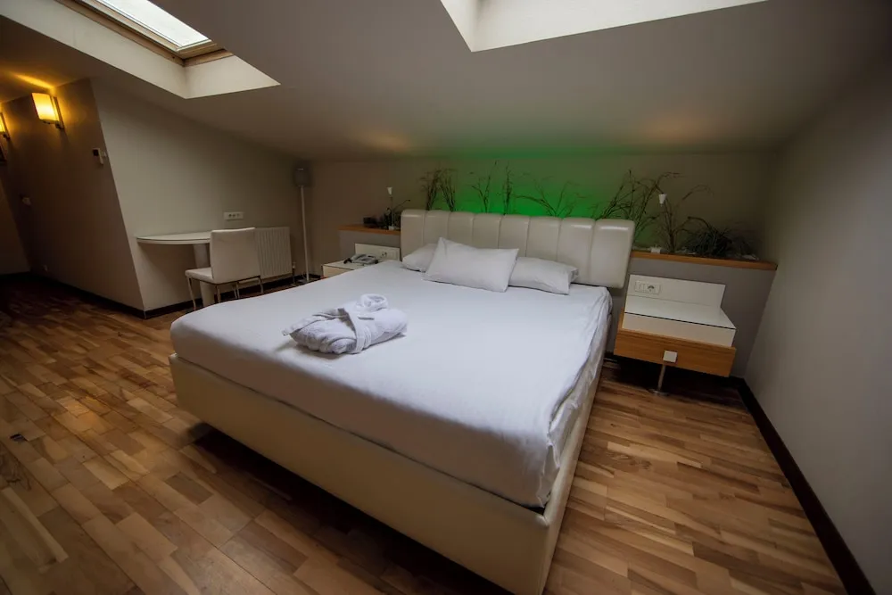 Panoramic Çatı Katı (Loft), 1 Çift Kişilik Yatak