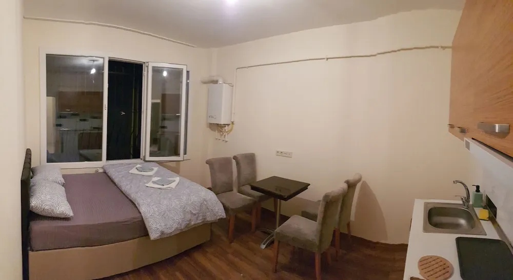 Apart Daire, 1 Yatak Odası (306)