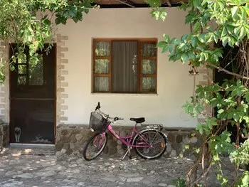 Kekik