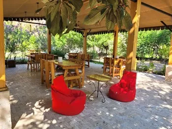 Kekik