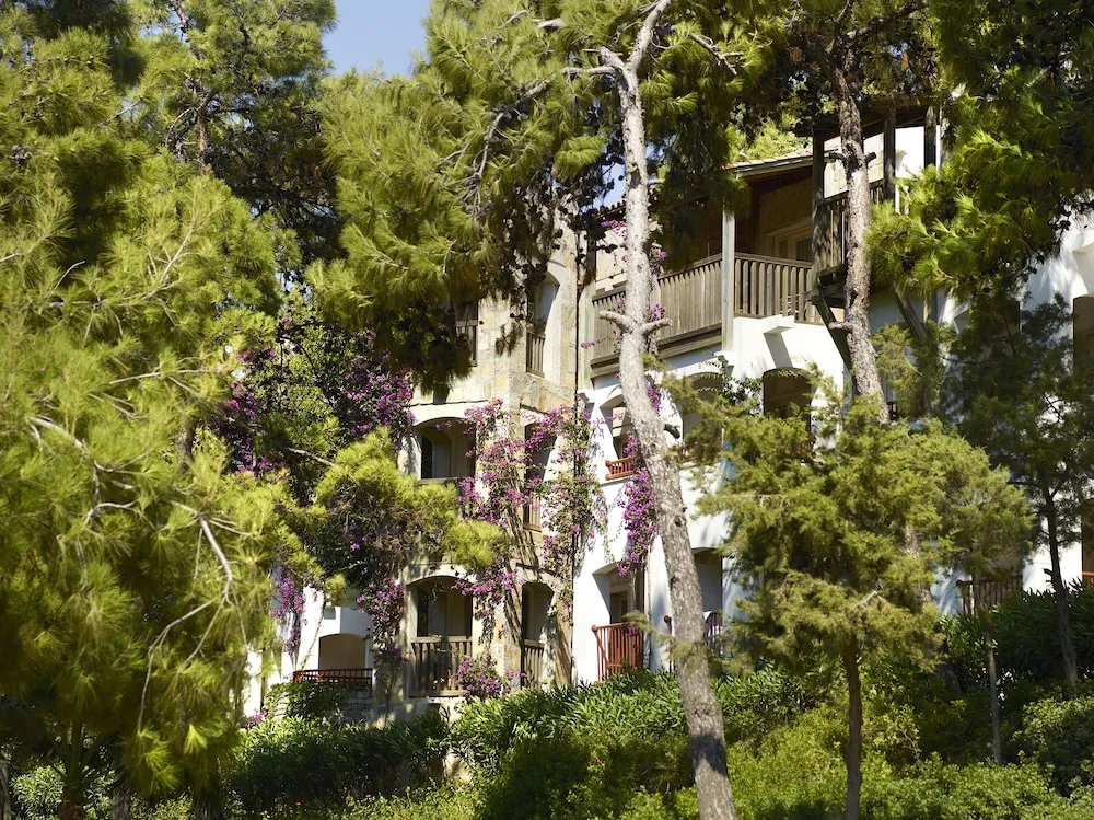 Standard Oda, Bahçe Manzaralı