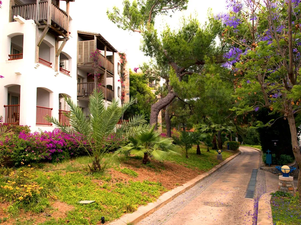 Standard Oda, Bahçe Manzaralı