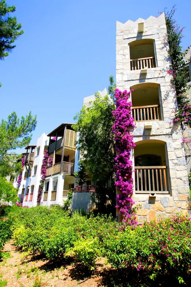 Standard Oda, Deniz Manzaralı