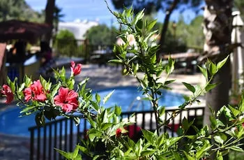 Symbola Ölüdeniz Beach Hotel