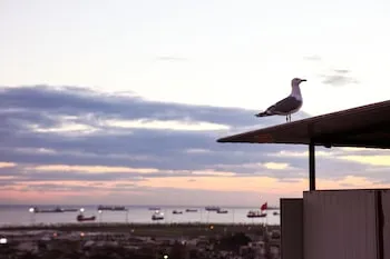 Ephesus Hotel İstanbul