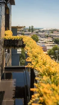 Hotel Mardia
