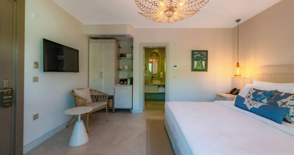Deluxe Tek Büyük Yataklı Oda, 1 Yatak Odası, Sigara İçilmez, Bahçe Manzaralı