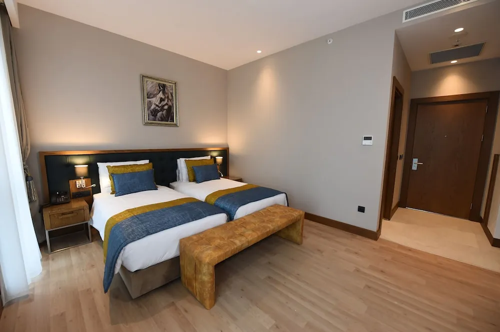 Deluxe Tek Büyük veya İki Ayrı Yataklı Oda, 1 Yatak Odası, Şehir Manzaralı