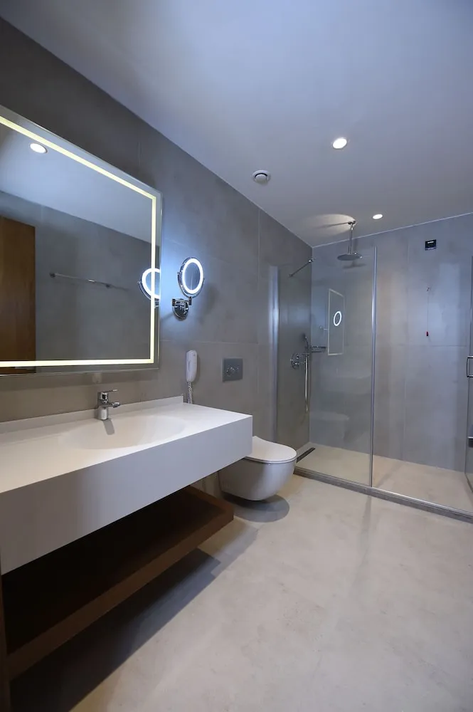 Deluxe Tek Büyük veya İki Ayrı Yataklı Oda, 1 Yatak Odası, Şehir Manzaralı