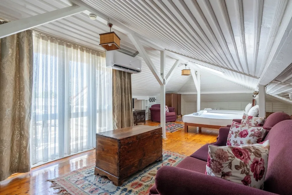 Çatı Katı Süiti (Penthouse)