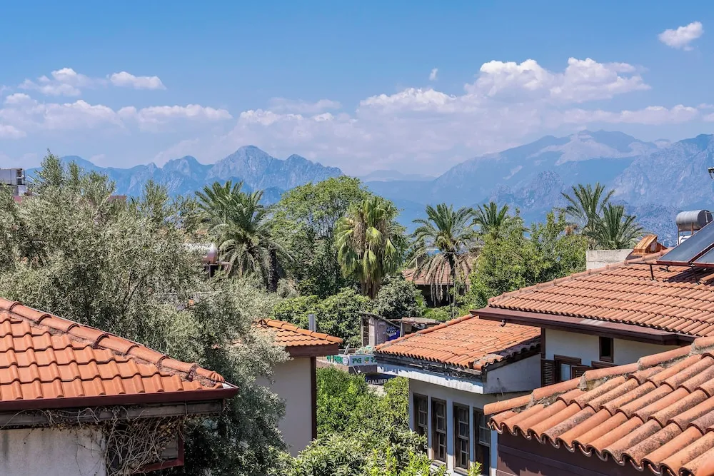 Çatı Katı Süiti (Penthouse)