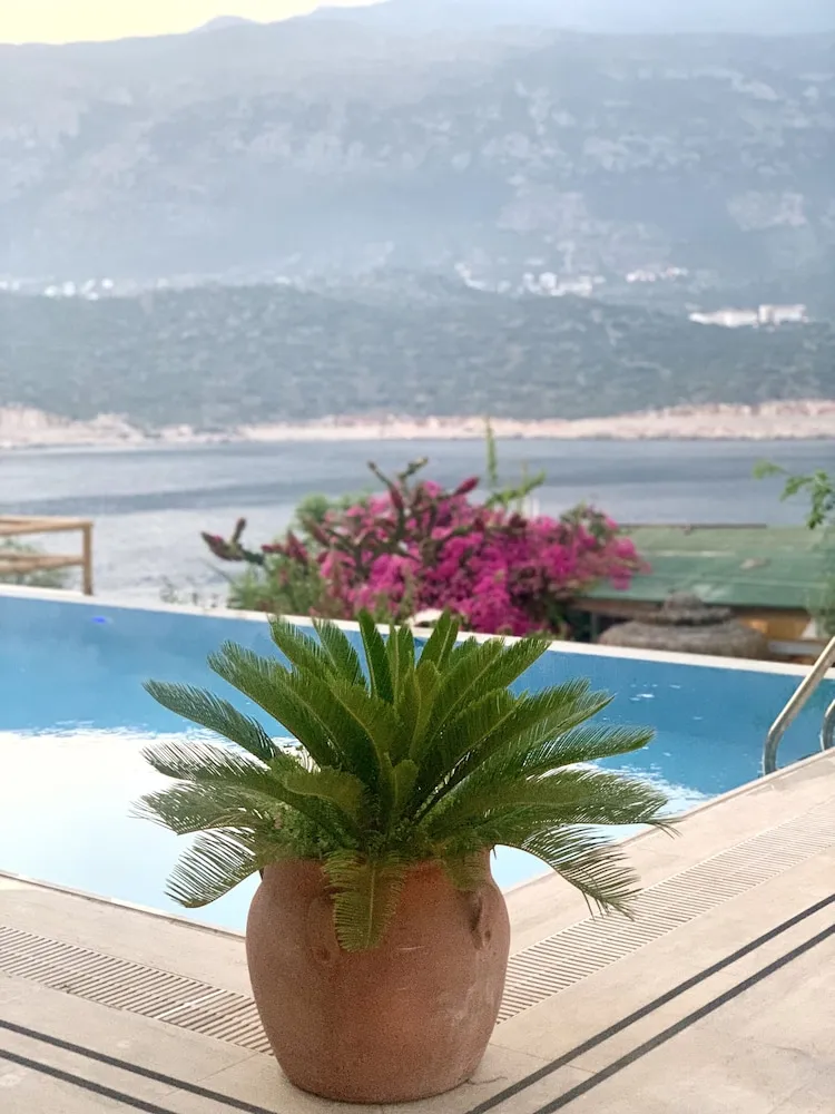 Standard Villa, Birden Çok Yatak Odası, Havuz Kenarı