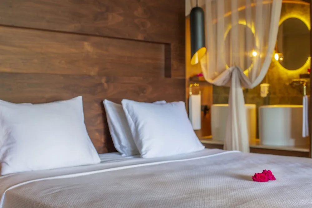 Luxury Suites Swimup
