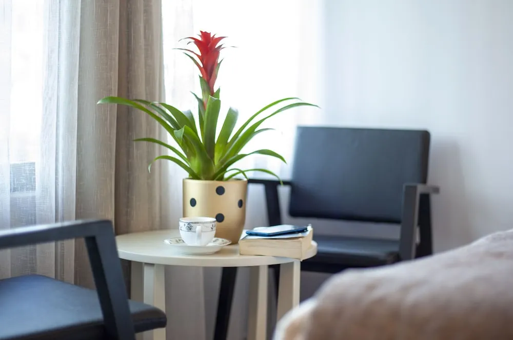 Deluxe Tek Kişilik Oda, Sigara İçilmez, Şehir Manzaralı