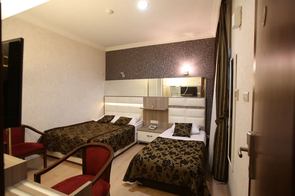 Classic İki Ayrı Yataklı Oda, Şehir Manzaralı