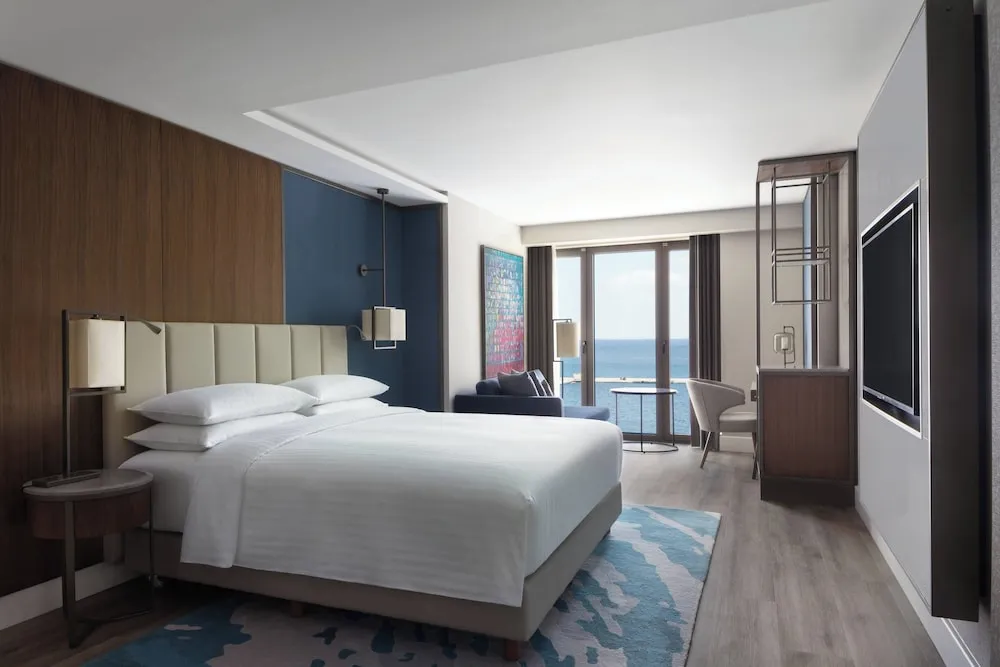 Executive Oda, 1 Çift Kişilik Yatak, Şehir Manzaralı