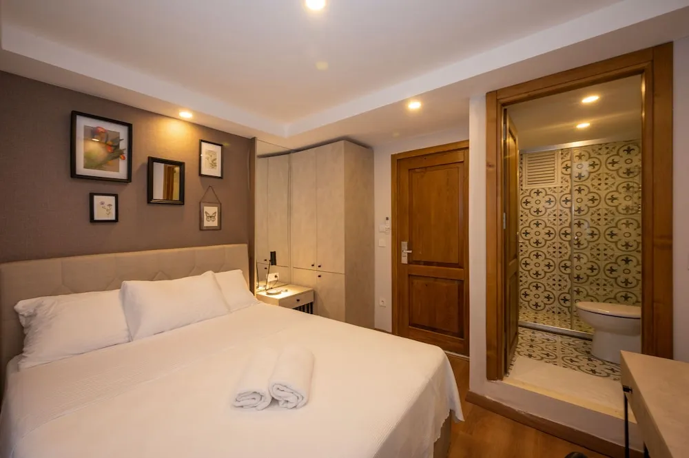 Deluxe Tek Büyük Yataklı Oda
