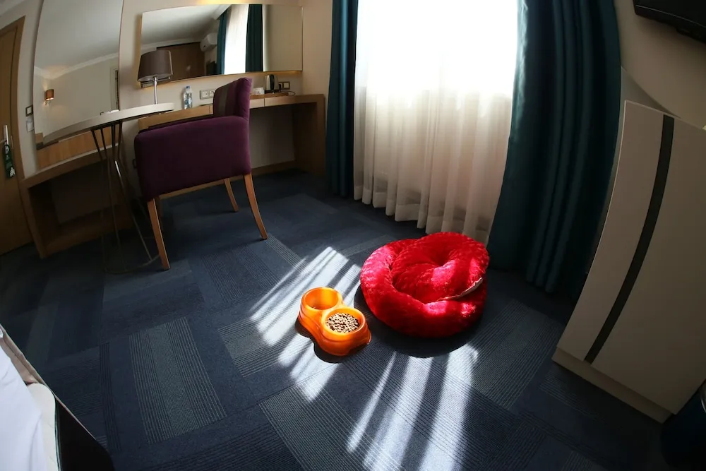 Standard Double Room with Pets Free