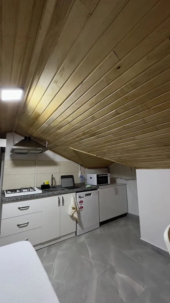 Çatı Katı (Loft), Birden Çok Yatak, Özel Banyo, Dağ Yamacı