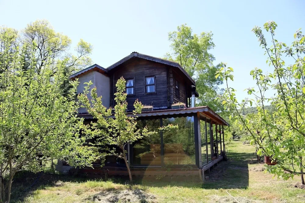 Family Ağaç Ev, Sigara İçilmez, Bahçe Manzaralı