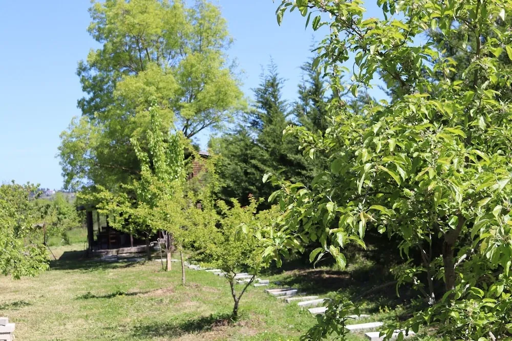 Family Ağaç Ev, Sigara İçilmez, Bahçe Manzaralı