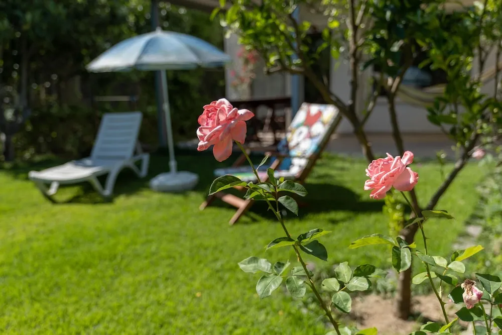 Family Villa