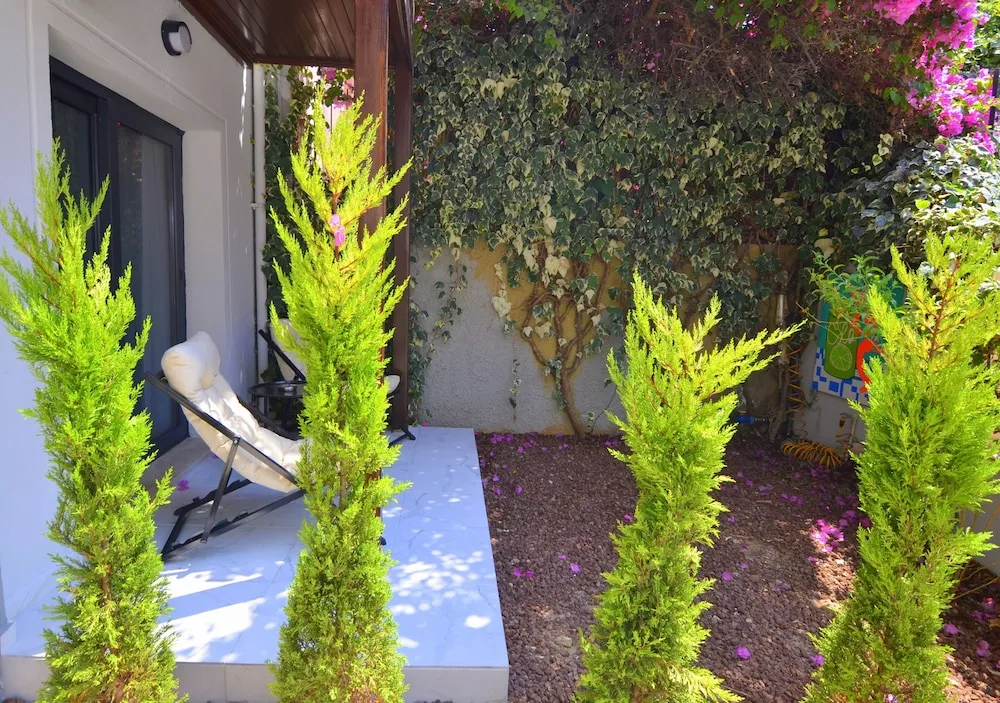 Garden Room 101