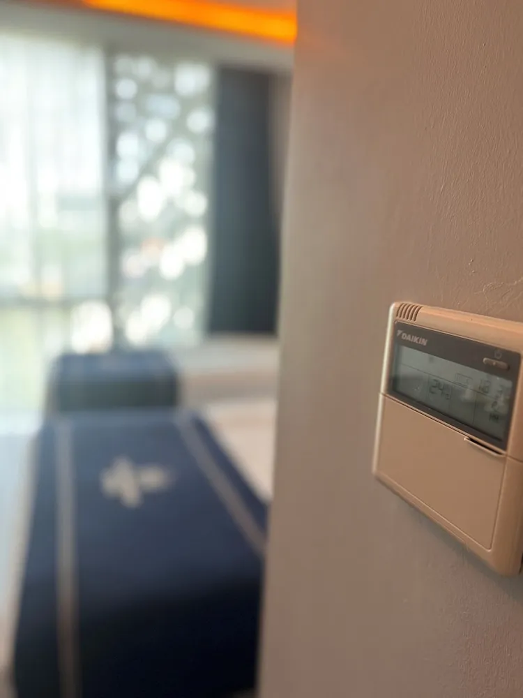 Deluxe Tek Büyük veya İki Ayrı Yataklı Oda