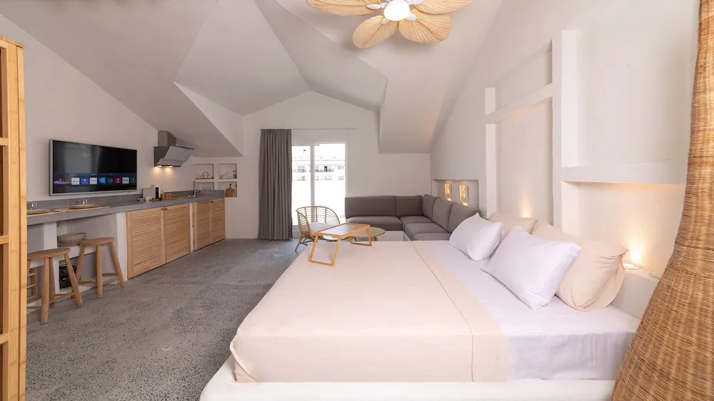 Çatı Katı Süiti (Penthouse)