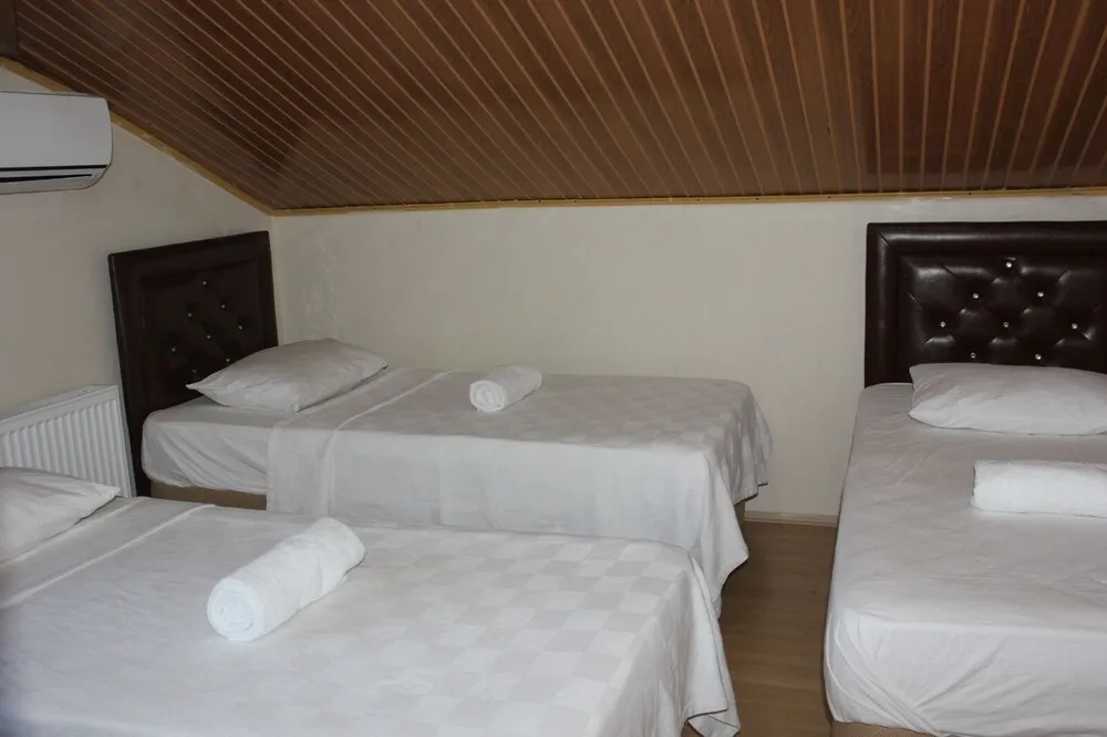 Çatı Katı (Loft)