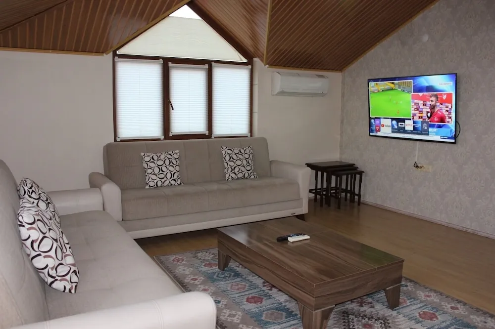 Çatı Katı (Loft)