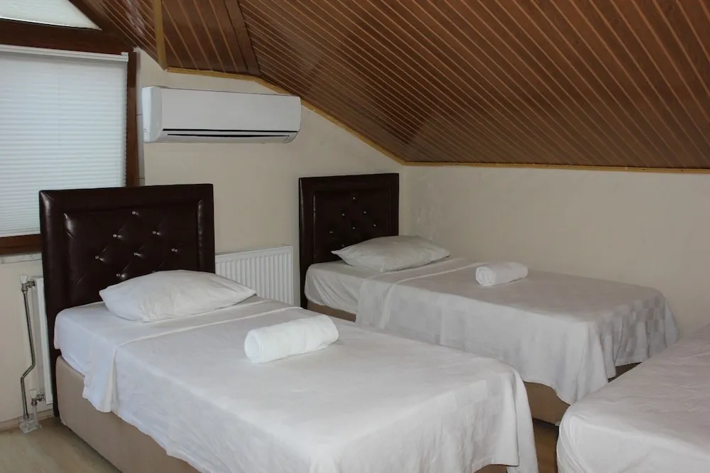 Çatı Katı (Loft)