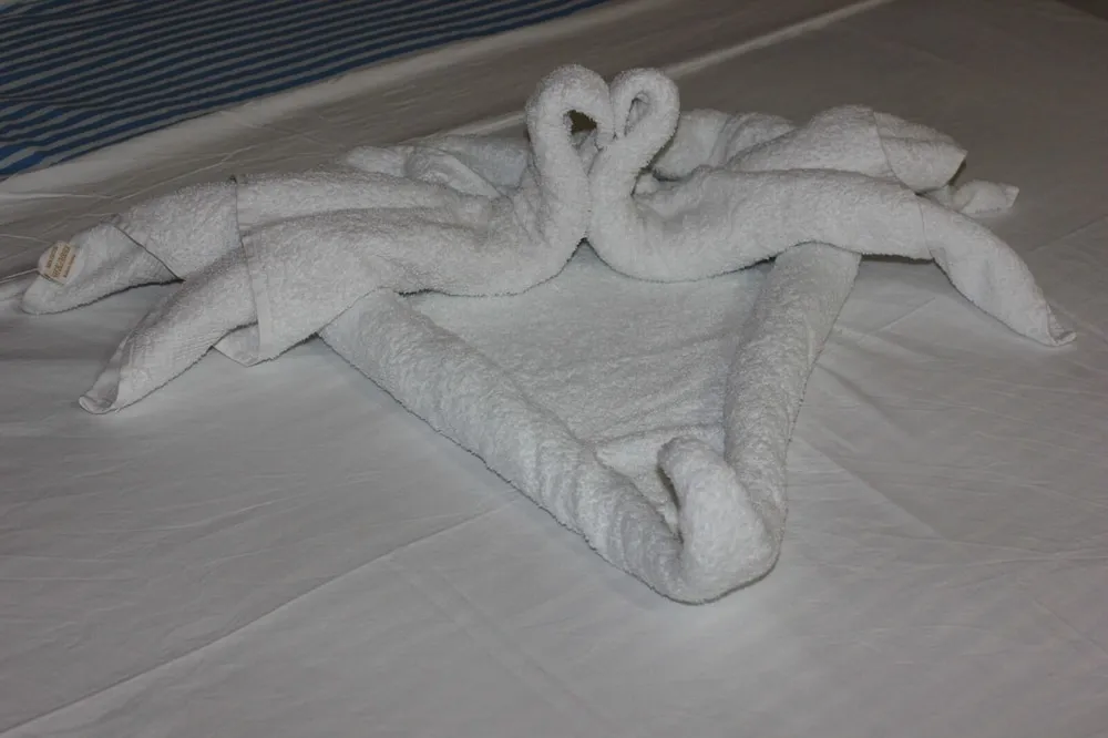 Çatı Katı (Loft)