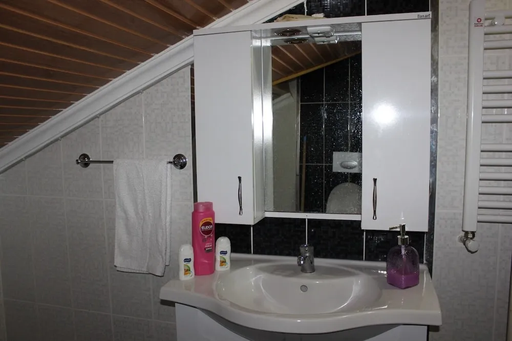 Çatı Katı (Loft)
