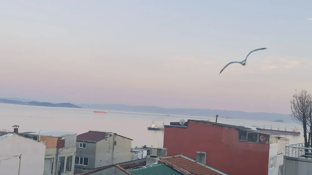 Standard Tek Büyük Yataklı Oda, Deniz Manzaralı