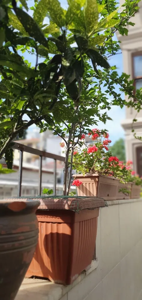 Panoramic Çatı Katı Süiti (Penthouse)