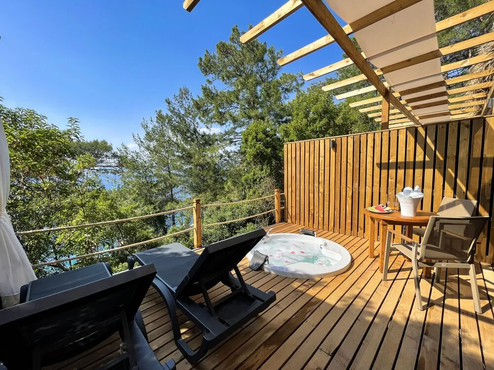 Therapy Stone House