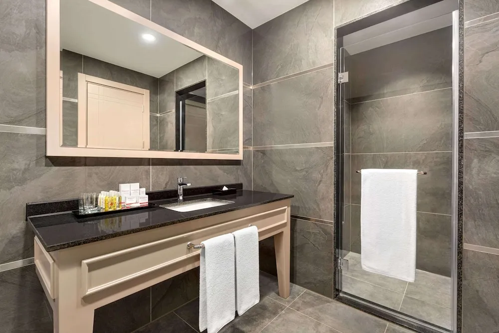 Oda, 1 En Büyük (King) Boy Yatak, Engellilere Uygun, Sigara İçilmez (Mobility Accessible, City View)