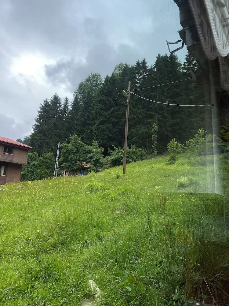 Family Bungalov