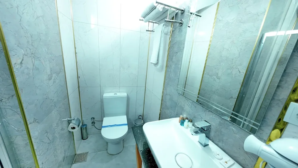 Standard Tek Büyük veya İki Ayrı Yataklı Oda