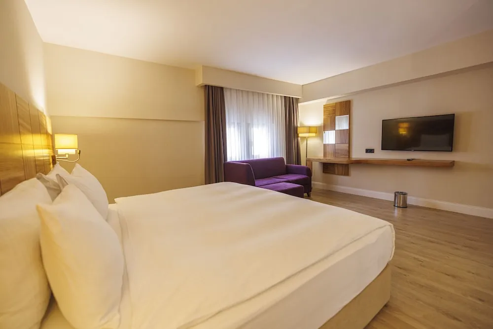 Deluxe Süit, Sigara İçilmez (1 King Bed, 1 Single Bed)