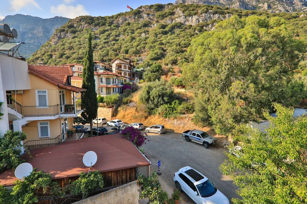 Basic Tek Büyük Yataklı Oda, 1 En Büyük (King) Boy Yatak, Dağ Manzaralı