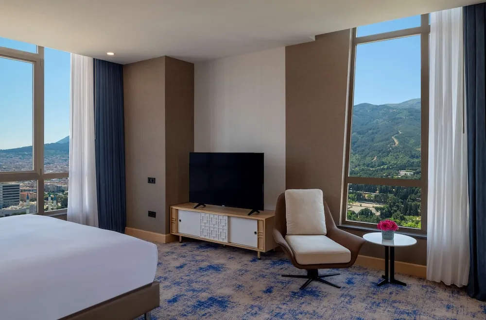 Premium Süit, 1 Yatak Odası