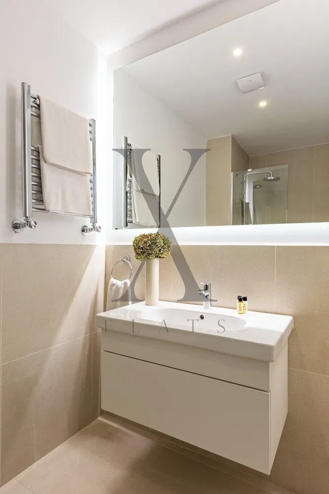 Deluxe Çatı Katı Süiti (Penthouse)