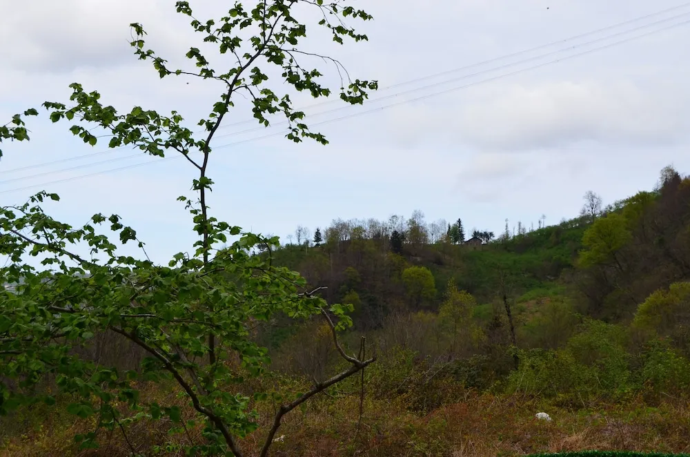 Luxury Bungalov, Dağ Manzaralı