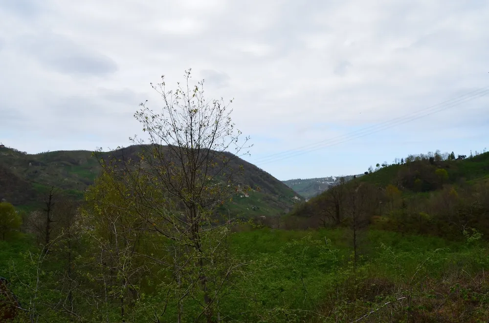 Luxury Bungalov, Dağ Manzaralı
